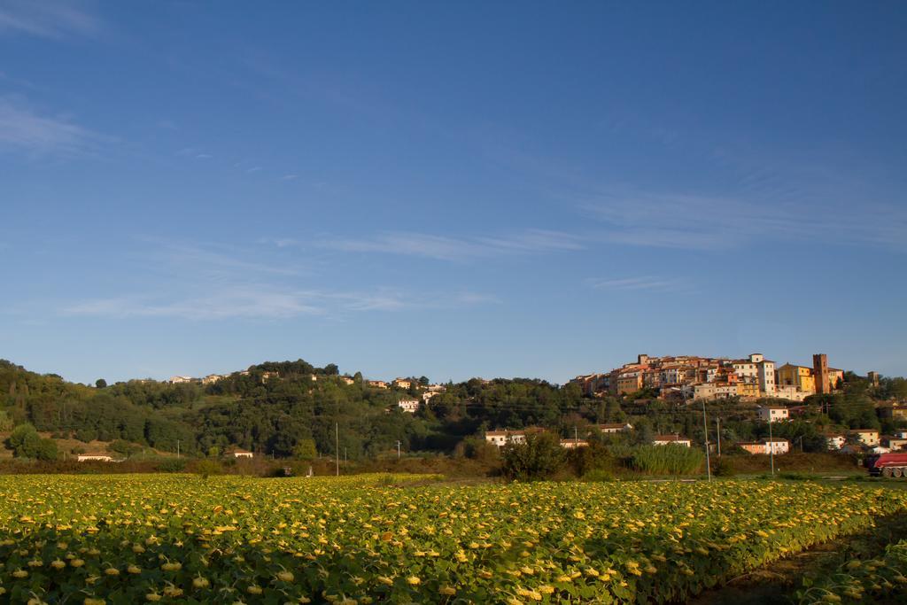 B&B Il Ramaiolo Santa Maria a Monte Luaran gambar